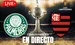 Palmeiras vs Flamengo Copa Libertadores 2025