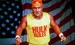 Hulk Hogan 2025