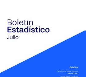 Boletín Estadístico – Julio 2026