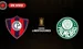 Cerro Porteño vs Palmeiras Copa Libertadores 2026