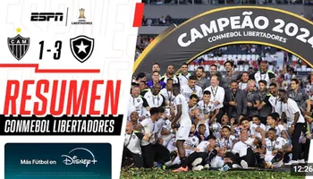 Botafogo vs Atlético Mineiro 2024