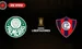 Palmeiras vs Cerro Porteño Copa Libertadores 2026
