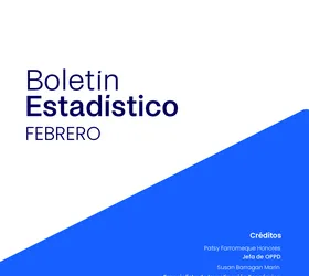 Boletin Estadistico del FMV – Febrero 2026