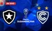 Botafogo vs Cienciano Copa Sudamericana 2026