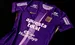 Camiseta Alianza Lima mes morado 2025