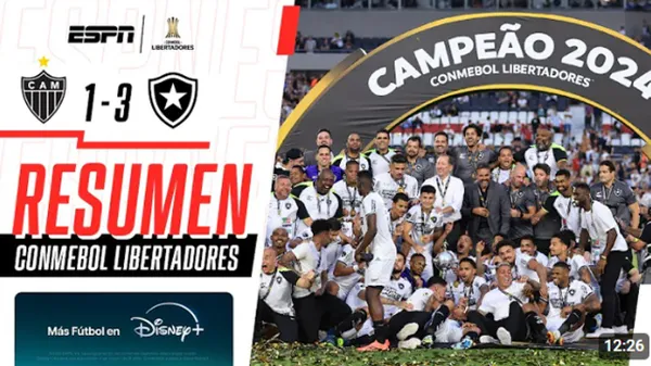 Botafogo vs Atlético Mineiro 2024