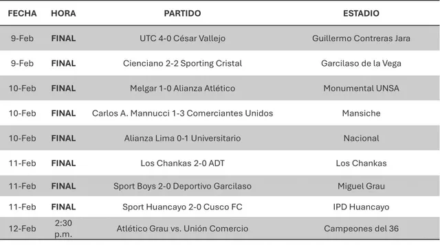 Fuente: Cancha en Mancha