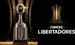 Copa Libertadores 2025