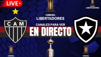 Botafogo vs Atlético Mineiro 2024