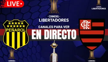 Peñarol vs. Flamengo EN VIVO: Horarios, pronósticos y canales para ver los cuartos de final de la copa libertadores 2024