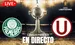 Palmeiras vs Universitario Copa Libertadores 2025