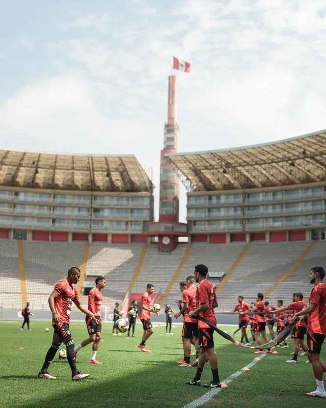 Fuente: FPF