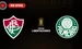 Fluminense vs Palmeiras Copa Libertadores 2026